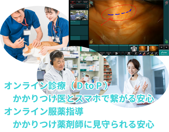 顔の見えるコミュニケーション